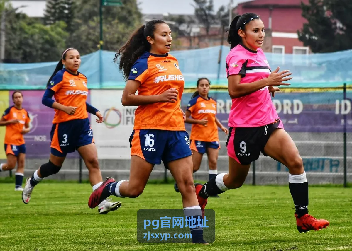 pg官网地址访问流程中的资料核对与提交确认示意