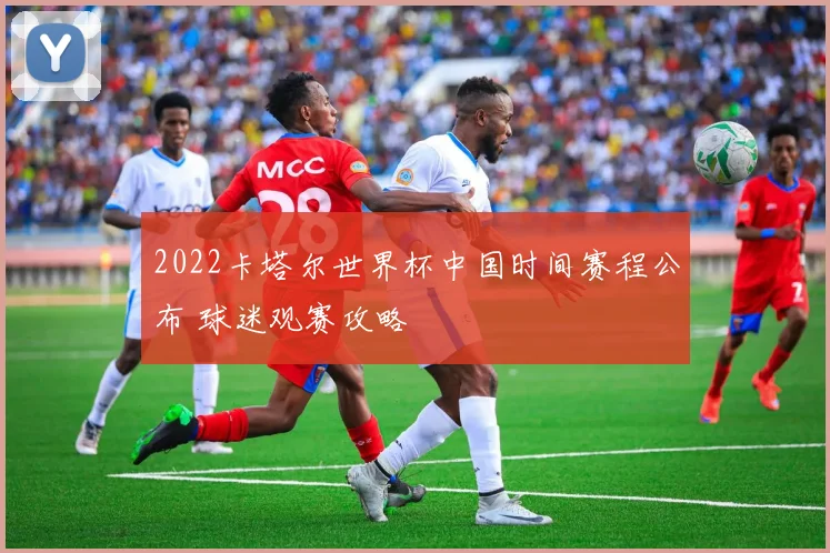 2022卡塔尔世界杯中国时间赛程公布 球迷观赛攻略