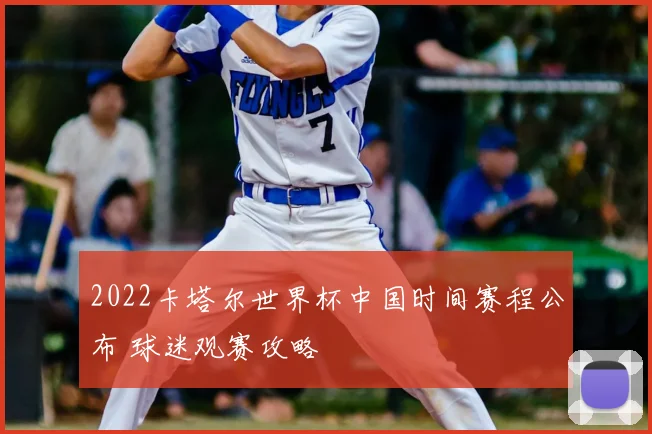 2022卡塔尔世界杯中国时间赛程公布 球迷观赛攻略